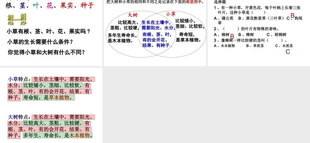 教科小学科学三上《1.3、大树和小草》PPT课件(10)【加微信公众号 jiaoxuewuyou 九折优惠 qq 1119139686】.ppt
