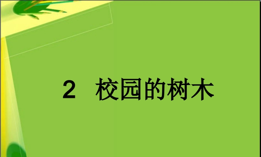 教科小学科学三上《1.2、校园的树木》PPT课件(14)【加微信公众号 jiaoxuewuyou 九折优惠 qq 1119139686】.ppt