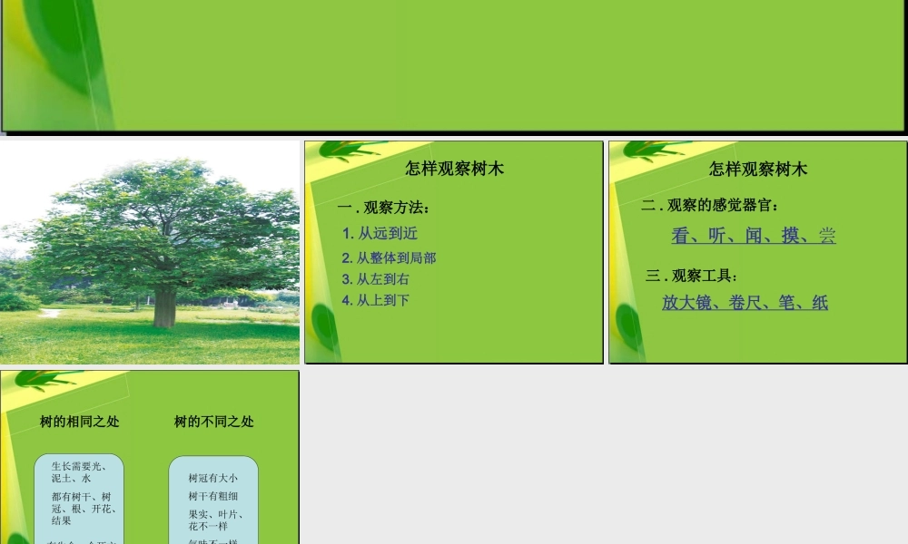 教科小学科学三上《1.2、校园的树木》PPT课件(14)【加微信公众号 jiaoxuewuyou 九折优惠 qq 1119139686】.ppt