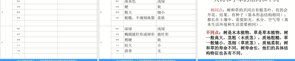 教科小学科学三上《1.3、大树和小草》PPT课件(2)【加微信公众号 jiaoxuewuyou 九折优惠 qq 1119139686】.ppt