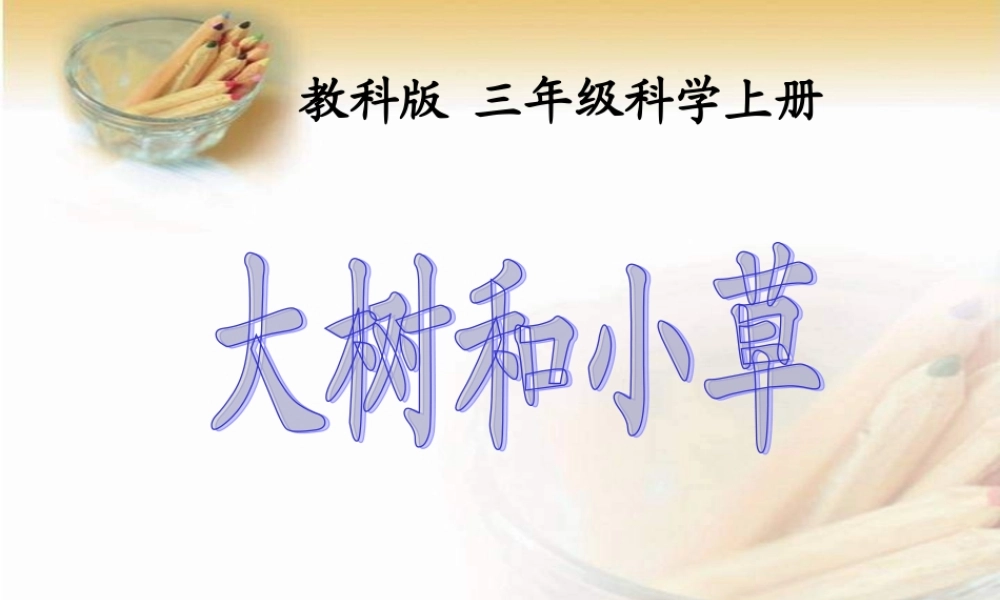 教科小学科学三上《1.3、大树和小草》PPT课件(7)【加微信公众号 jiaoxuewuyou 九折优惠 qq 1119139686】.ppt