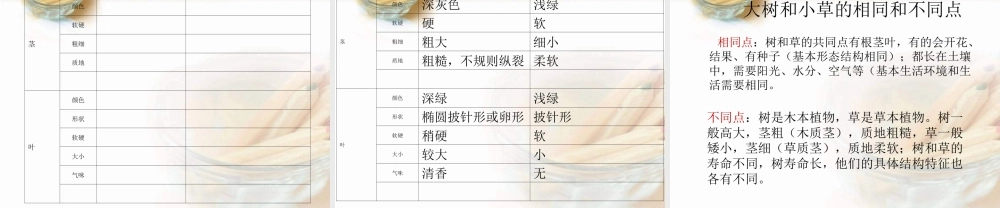 教科小学科学三上《1.3、大树和小草》PPT课件(7)【加微信公众号 jiaoxuewuyou 九折优惠 qq 1119139686】.ppt