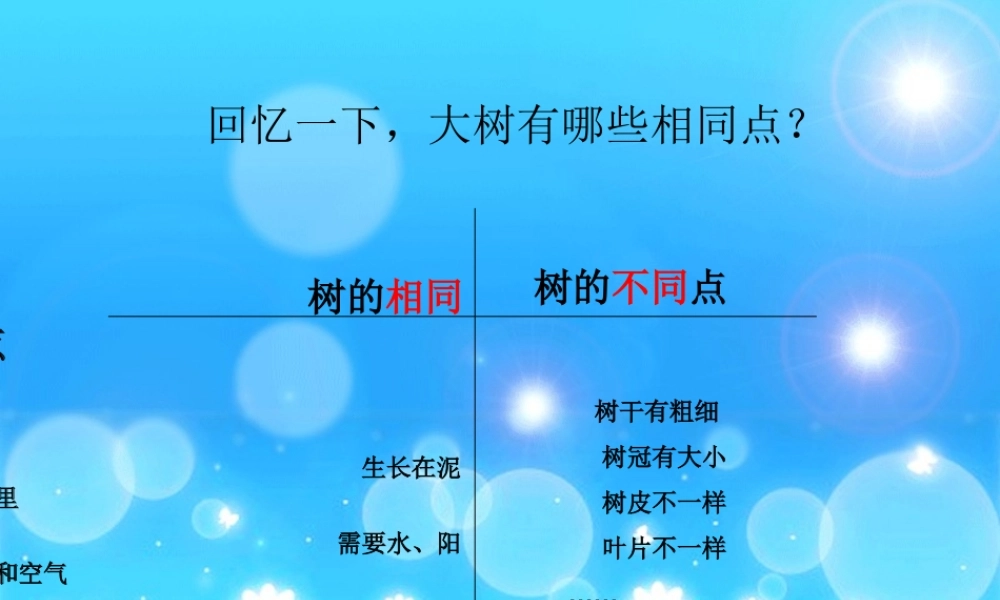 教科小学科学三上《1.3、大树和小草》PPT课件(1)【加微信公众号 jiaoxuewuyou 九折优惠 qq 1119139686】.ppt