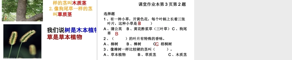 教科小学科学三上《1.3、大树和小草》PPT课件(1)【加微信公众号 jiaoxuewuyou 九折优惠 qq 1119139686】.ppt