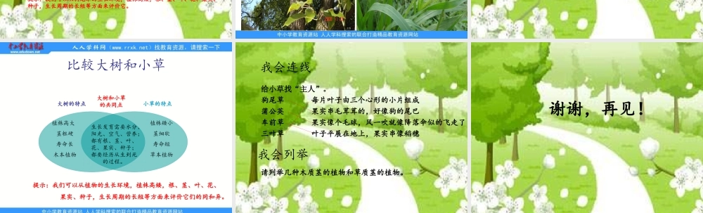教科小学科学三上《1.3、大树和小草》PPT课件(3)【加微信公众号 jiaoxuewuyou 九折优惠 qq 1119139686】.ppt