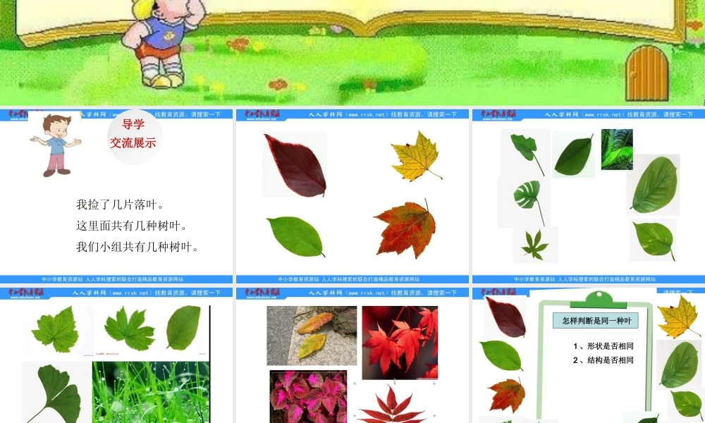 教科小学科学三上《1.5、植物的叶》PPT课件(1)【加微信公众号 jiaoxuewuyou 九折优惠 qq 1119139686】.ppt