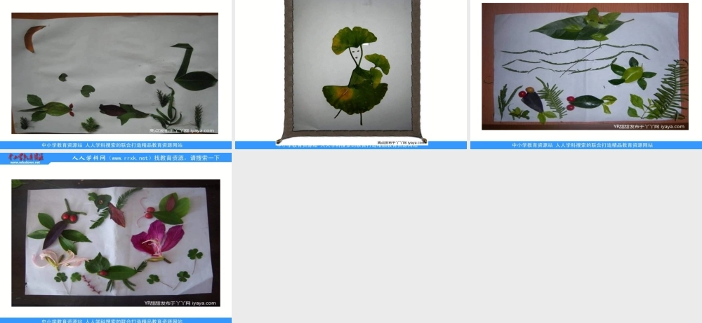 教科小学科学三上《1.5、植物的叶》PPT课件(1)【加微信公众号 jiaoxuewuyou 九折优惠 qq 1119139686】.ppt