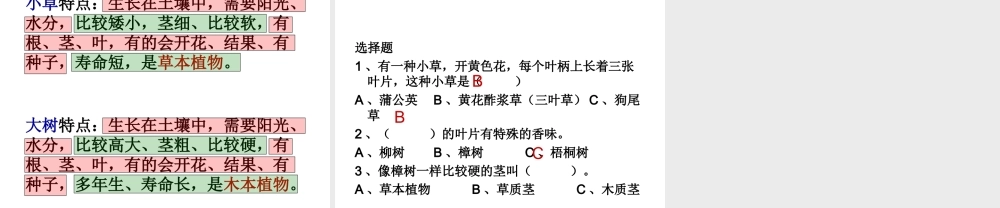 教科小学科学三上《1.3、大树和小草》PPT课件(15)【加微信公众号 jiaoxuewuyou 九折优惠 qq 1119139686】.ppt