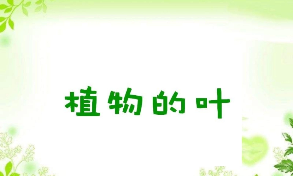 教科小学科学三上《1.5、植物的叶》PPT课件(12)【加微信公众号 jiaoxuewuyou 九折优惠 qq 1119139686】.ppt