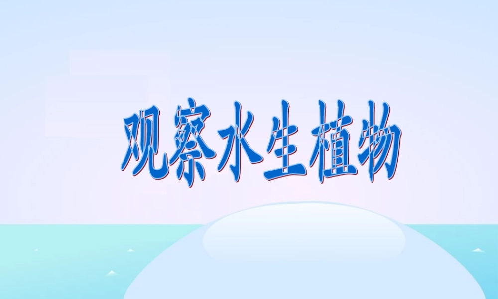 教科小学科学三上《1.4、观察水生植物》PPT课件(3)【加微信公众号 jiaoxuewuyou 九折优惠 qq 1119139686】.ppt
