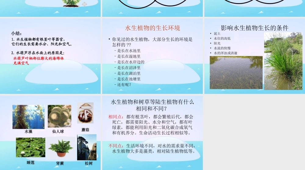 教科小学科学三上《1.4、观察水生植物》PPT课件(3)【加微信公众号 jiaoxuewuyou 九折优惠 qq 1119139686】.ppt