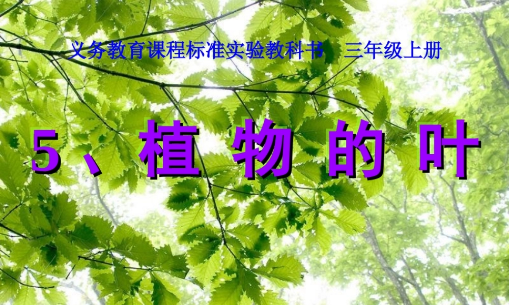 教科小学科学三上《1.5、植物的叶》PPT课件(3)【加微信公众号 jiaoxuewuyou 九折优惠 qq 1119139686】.ppt