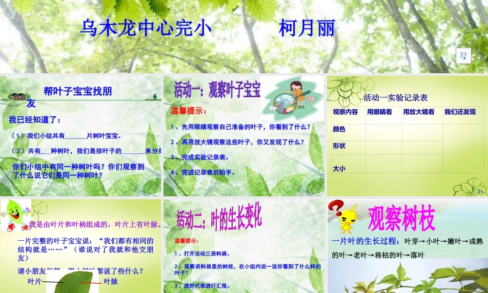 教科小学科学三上《1.5、植物的叶》PPT课件(3)【加微信公众号 jiaoxuewuyou 九折优惠 qq 1119139686】.ppt
