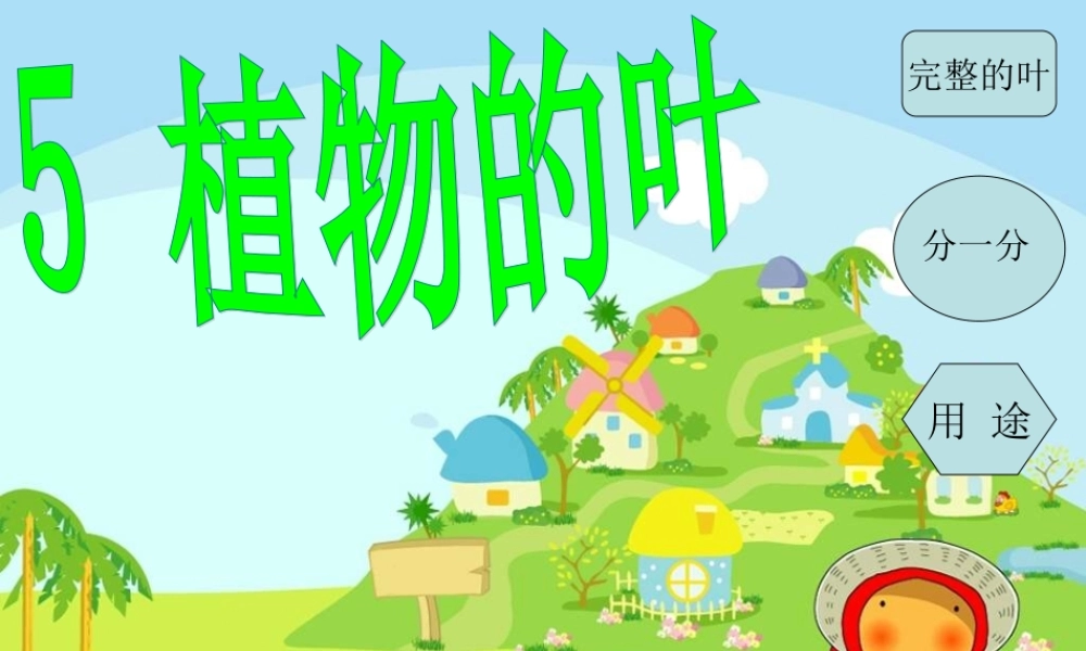 教科小学科学三上《1.5、植物的叶》PPT课件(10)【加微信公众号 jiaoxuewuyou 九折优惠 qq 1119139686】.ppt