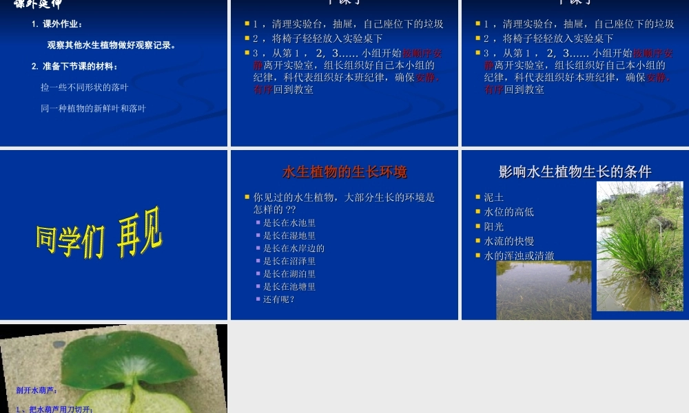 教科小学科学三上《1.4、观察水生植物》PPT课件(5)【加微信公众号 jiaoxuewuyou 九折优惠 qq 1119139686】.ppt