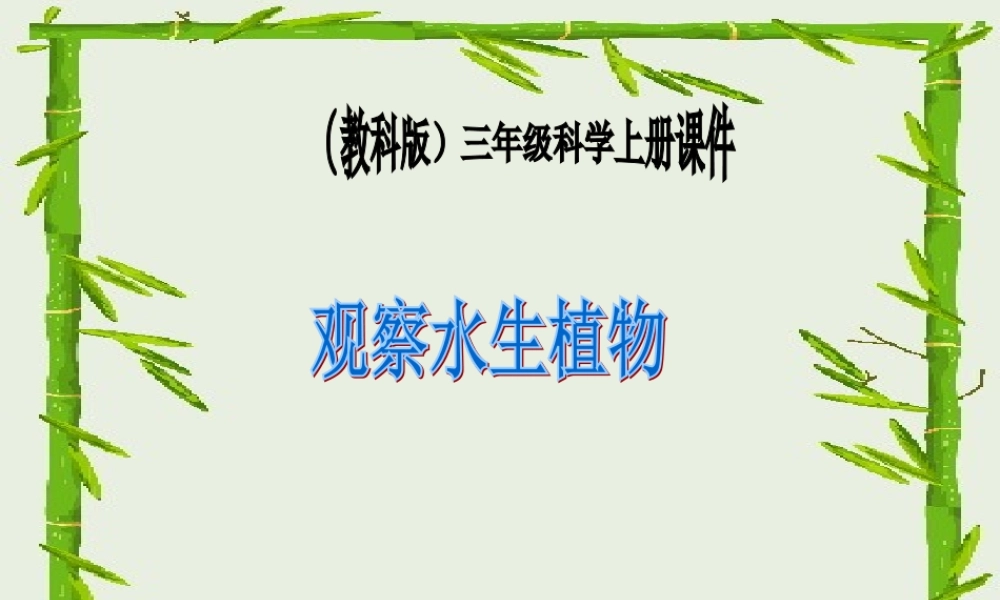 教科小学科学三上《1.4、观察水生植物》PPT课件(7)【加微信公众号 jiaoxuewuyou 九折优惠 qq 1119139686】.ppt