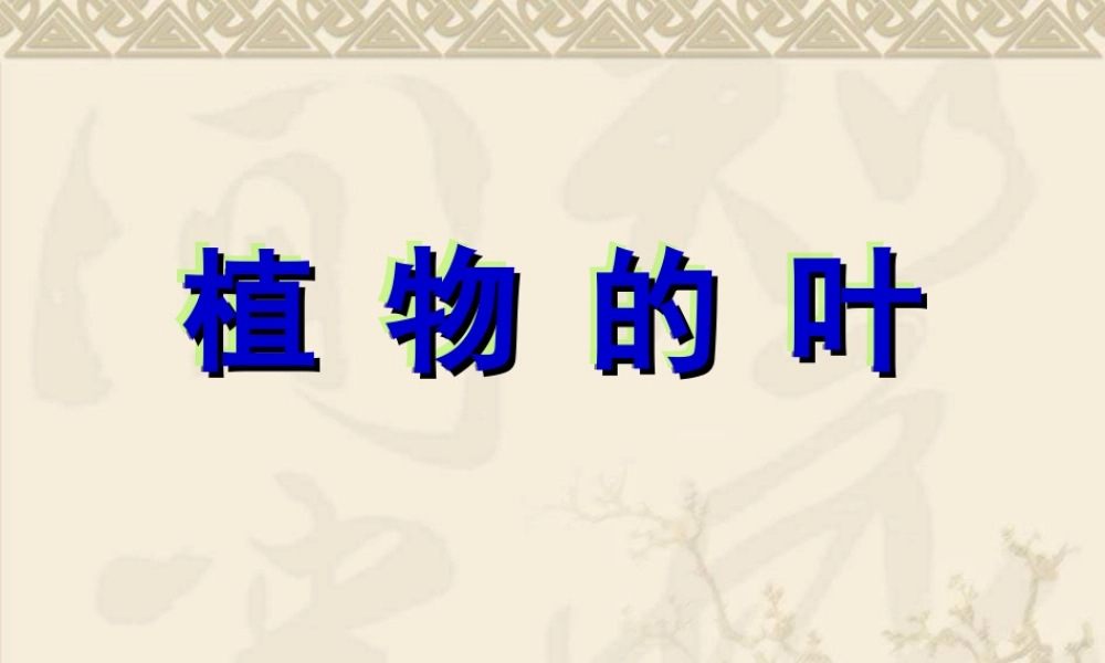 教科小学科学三上《1.5、植物的叶》PPT课件(7)【加微信公众号 jiaoxuewuyou 九折优惠 qq 1119139686】.ppt