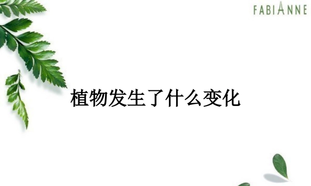 教科小学科学三上《1.6、植物发生了什么变化》PPT课件(5)【加微信公众号 jiaoxuewuyou 九折优惠 qq 1119139686】.ppt