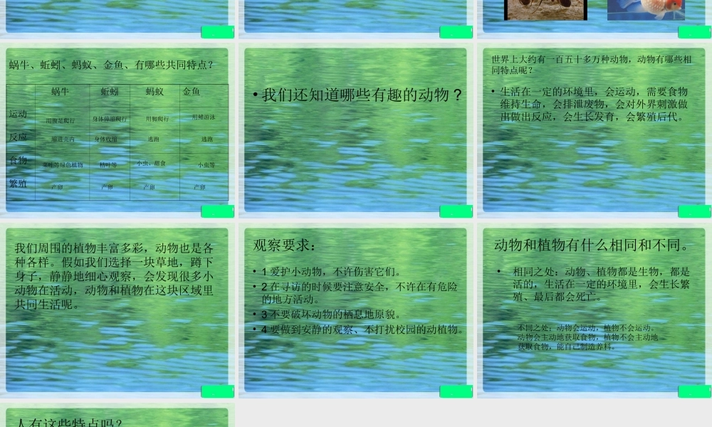 教科小学科学三上《1.7、植物的共同特点》PPT课件(1)【加微信公众号 jiaoxuewuyou 九折优惠 qq 1119139686】.ppt