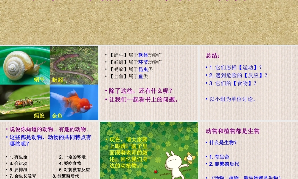 教科小学科学三上《1.7、植物的共同特点》PPT课件(5)【加微信公众号 jiaoxuewuyou 九折优惠 qq 1119139686】.ppt