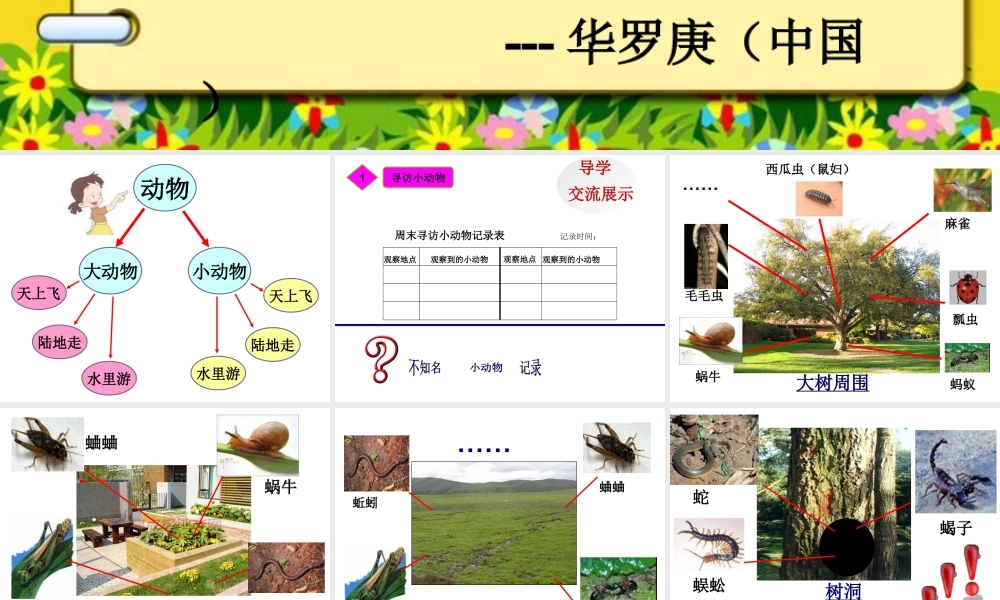教科小学科学三上《2.1、寻访小动物》PPT课件(3)【加微信公众号 jiaoxuewuyou 九折优惠 qq 1119139686】.ppt