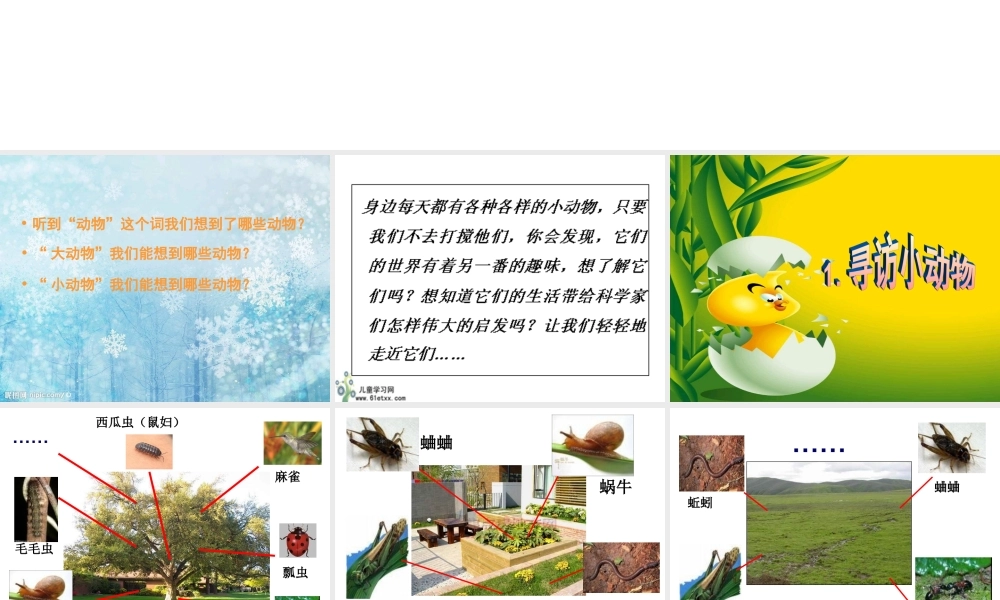 教科小学科学三上《2.1、寻访小动物》PPT课件(9)【加微信公众号 jiaoxuewuyou 九折优惠 qq 1119139686】.ppt
