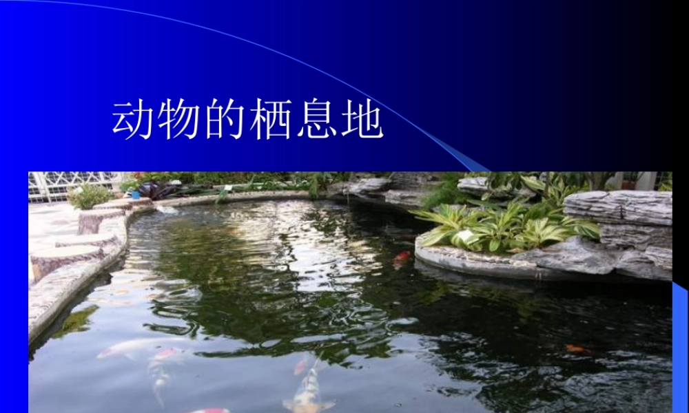 教科小学科学三上《2.1、寻访小动物》PPT课件(6)【加微信公众号 jiaoxuewuyou 九折优惠 qq 1119139686】.ppt