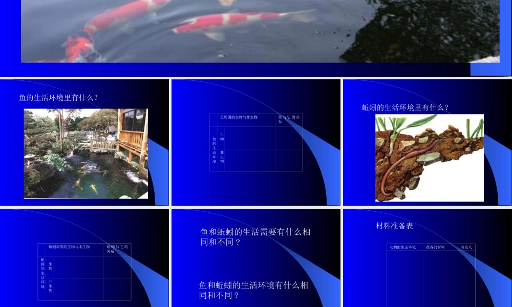 教科小学科学三上《2.1、寻访小动物》PPT课件(6)【加微信公众号 jiaoxuewuyou 九折优惠 qq 1119139686】.ppt