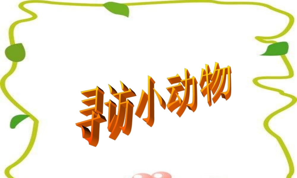 教科小学科学三上《2.1、寻访小动物》PPT课件(1)【加微信公众号 jiaoxuewuyou 九折优惠 qq 1119139686】.ppt