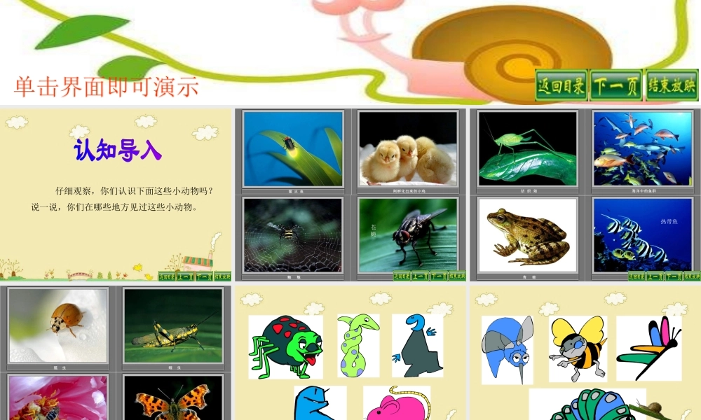 教科小学科学三上《2.1、寻访小动物》PPT课件(1)【加微信公众号 jiaoxuewuyou 九折优惠 qq 1119139686】.ppt