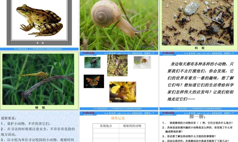 教科小学科学三上《2.1、寻访小动物》PPT课件(2)【加微信公众号 jiaoxuewuyou 九折优惠 qq 1119139686】.ppt