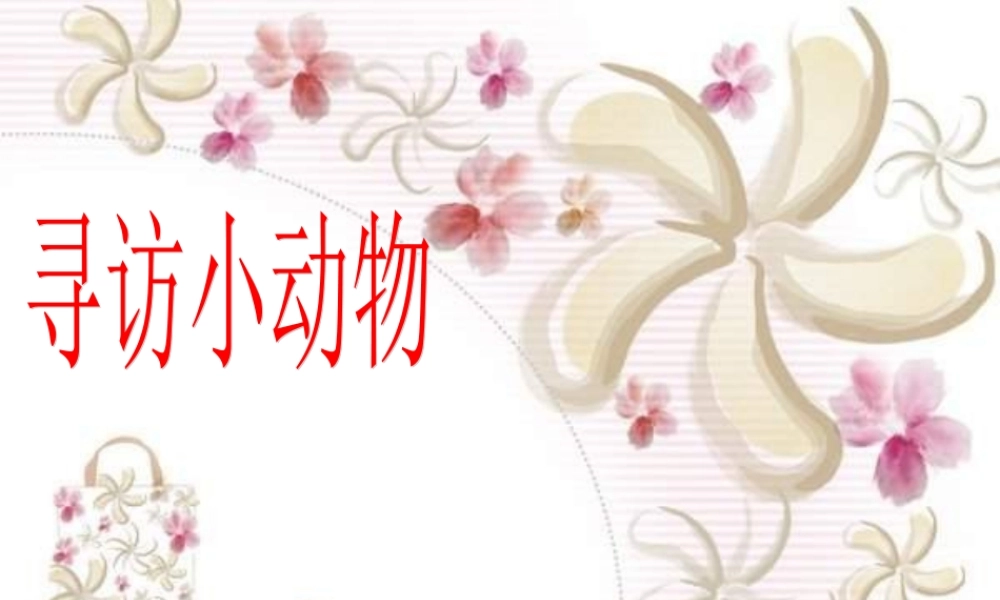 教科小学科学三上《2.1、寻访小动物》PPT课件(12)【加微信公众号 jiaoxuewuyou 九折优惠 qq 1119139686】.ppt