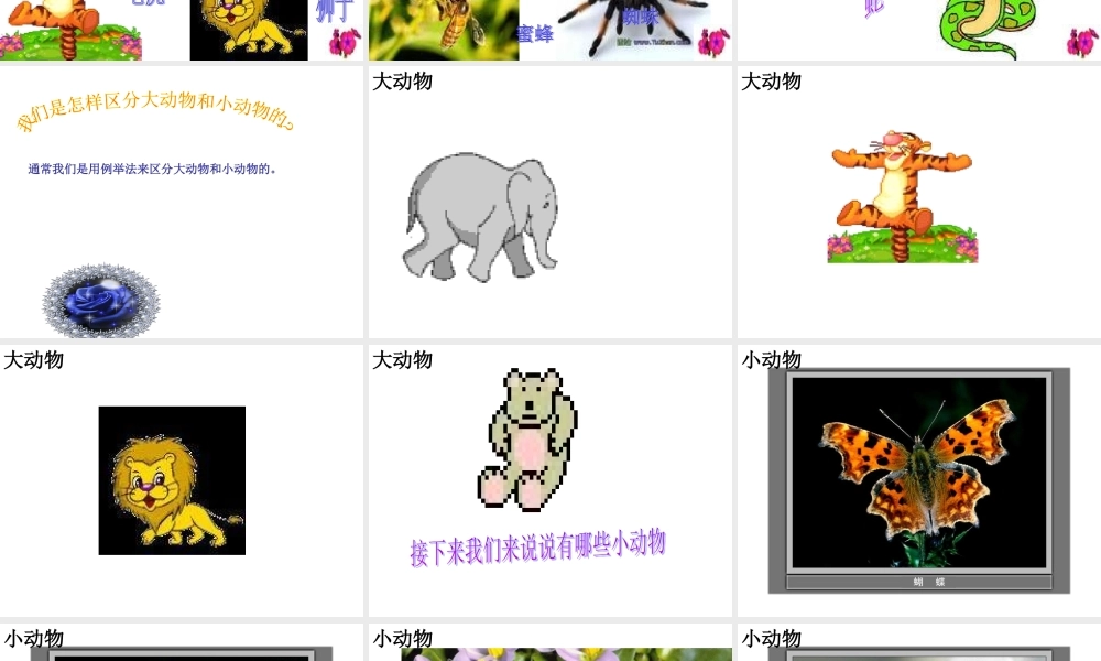 教科小学科学三上《2.1、寻访小动物》PPT课件(12)【加微信公众号 jiaoxuewuyou 九折优惠 qq 1119139686】.ppt