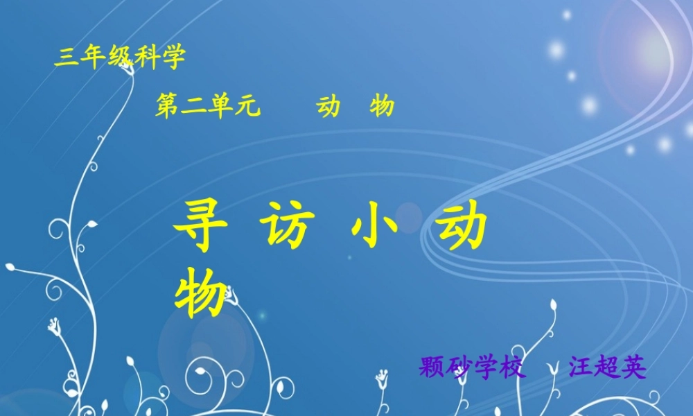 教科小学科学三上《2.1、寻访小动物》PPT课件(7)【加微信公众号 jiaoxuewuyou 九折优惠 qq 1119139686】.ppt