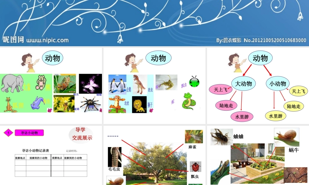 教科小学科学三上《2.1、寻访小动物》PPT课件(7)【加微信公众号 jiaoxuewuyou 九折优惠 qq 1119139686】.ppt