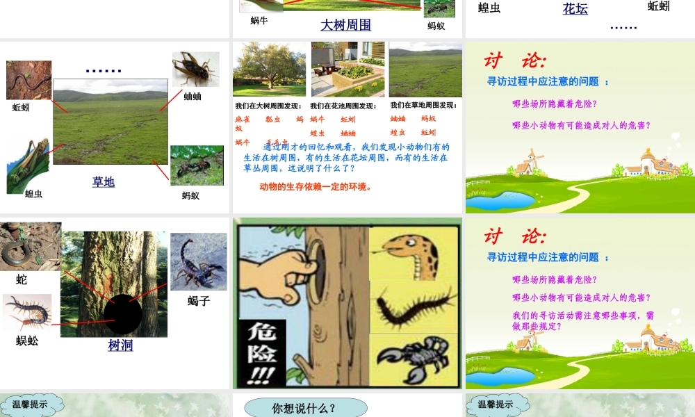 教科小学科学三上《2.1、寻访小动物》PPT课件(7)【加微信公众号 jiaoxuewuyou 九折优惠 qq 1119139686】.ppt