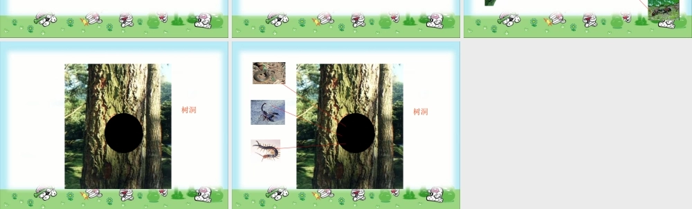 教科小学科学三上《2.1、寻访小动物》PPT课件(4)【加微信公众号 jiaoxuewuyou 九折优惠 qq 1119139686】.ppt