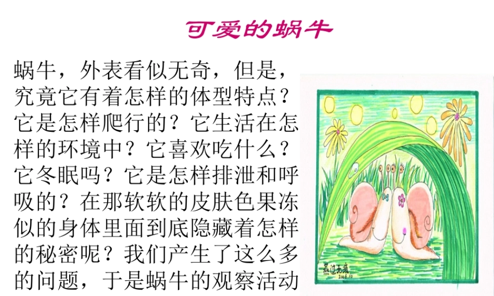 教科小学科学三上《2.2、蜗牛（一）》PPT课件(1)【加微信公众号 jiaoxuewuyou 九折优惠 qq 1119139686】.ppt