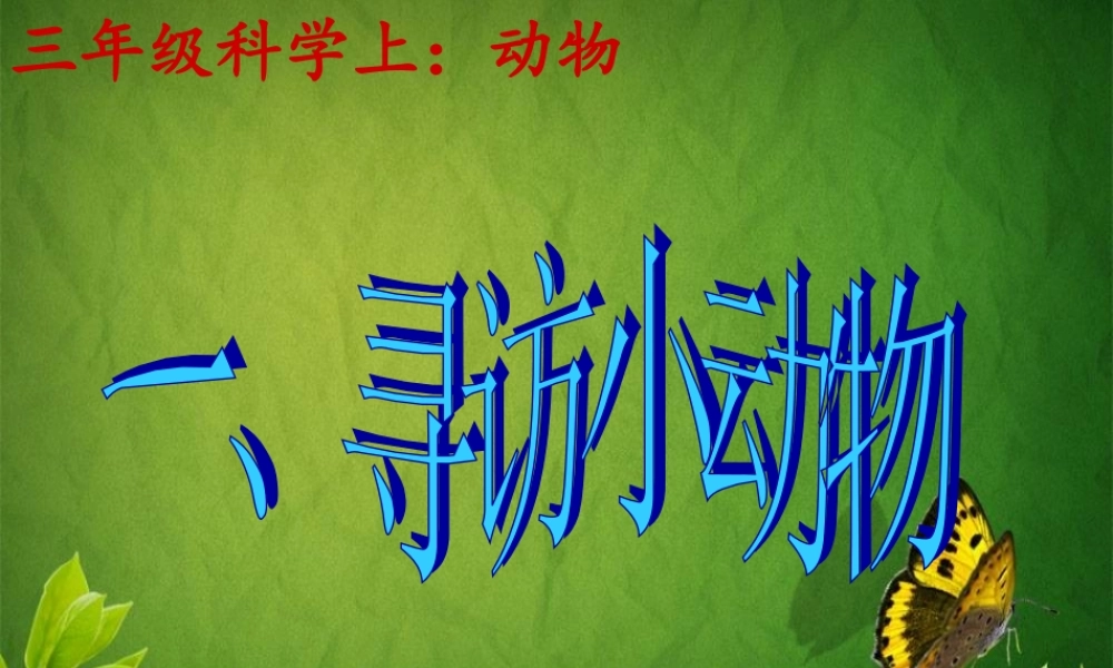 教科小学科学三上《2.1、寻访小动物》PPT课件(14)【加微信公众号 jiaoxuewuyou 九折优惠 qq 1119139686】.ppt