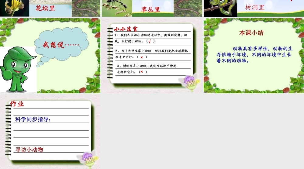 教科小学科学三上《2.1、寻访小动物》PPT课件(14)【加微信公众号 jiaoxuewuyou 九折优惠 qq 1119139686】.ppt
