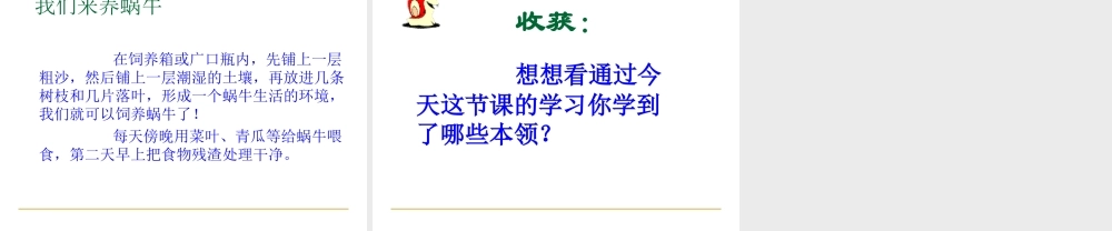 教科小学科学三上《2.2、蜗牛（一）》PPT课件(9)【加微信公众号 jiaoxuewuyou 九折优惠 qq 1119139686】.ppt