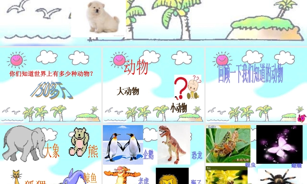 教科小学科学三上《2.1、寻访小动物》PPT课件(8)【加微信公众号 jiaoxuewuyou 九折优惠 qq 1119139686】.ppt