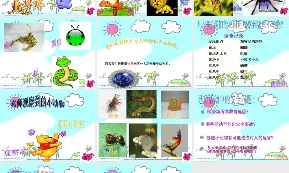 教科小学科学三上《2.1、寻访小动物》PPT课件(8)【加微信公众号 jiaoxuewuyou 九折优惠 qq 1119139686】.ppt