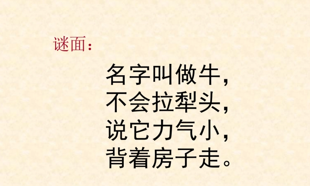 教科小学科学三上《2.2、蜗牛（一）》PPT课件(12)【加微信公众号 jiaoxuewuyou 九折优惠 qq 1119139686】.ppt