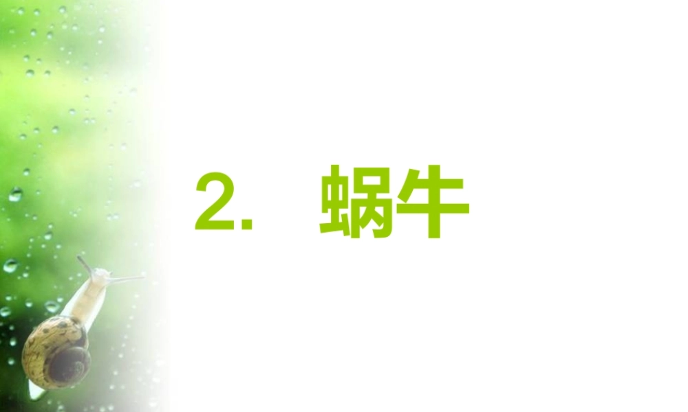 教科小学科学三上《2.2、蜗牛（一）》PPT课件(3)【加微信公众号 jiaoxuewuyou 九折优惠 qq 1119139686】.ppt