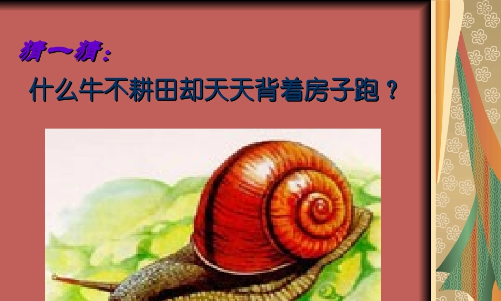 教科小学科学三上《2.2、蜗牛（一）》PPT课件(13)【加微信公众号 jiaoxuewuyou 九折优惠 qq 1119139686】.ppt