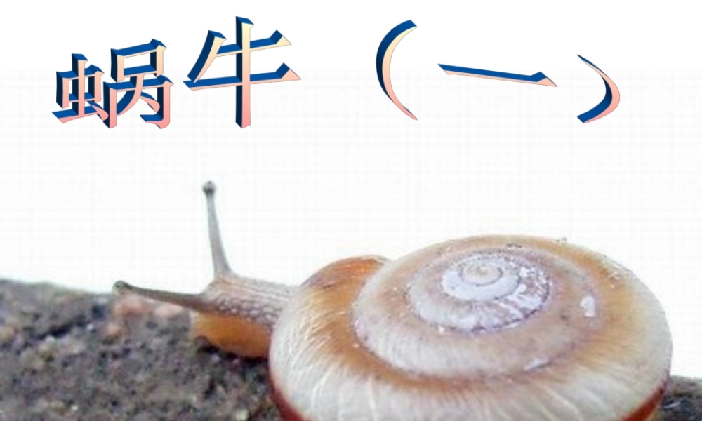 教科小学科学三上《2.2、蜗牛（一）》PPT课件(10)【加微信公众号 jiaoxuewuyou 九折优惠 qq 1119139686】.ppt