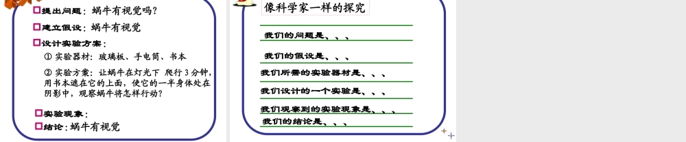 教科小学科学三上《2.2、蜗牛（一）》PPT课件(10)【加微信公众号 jiaoxuewuyou 九折优惠 qq 1119139686】.ppt