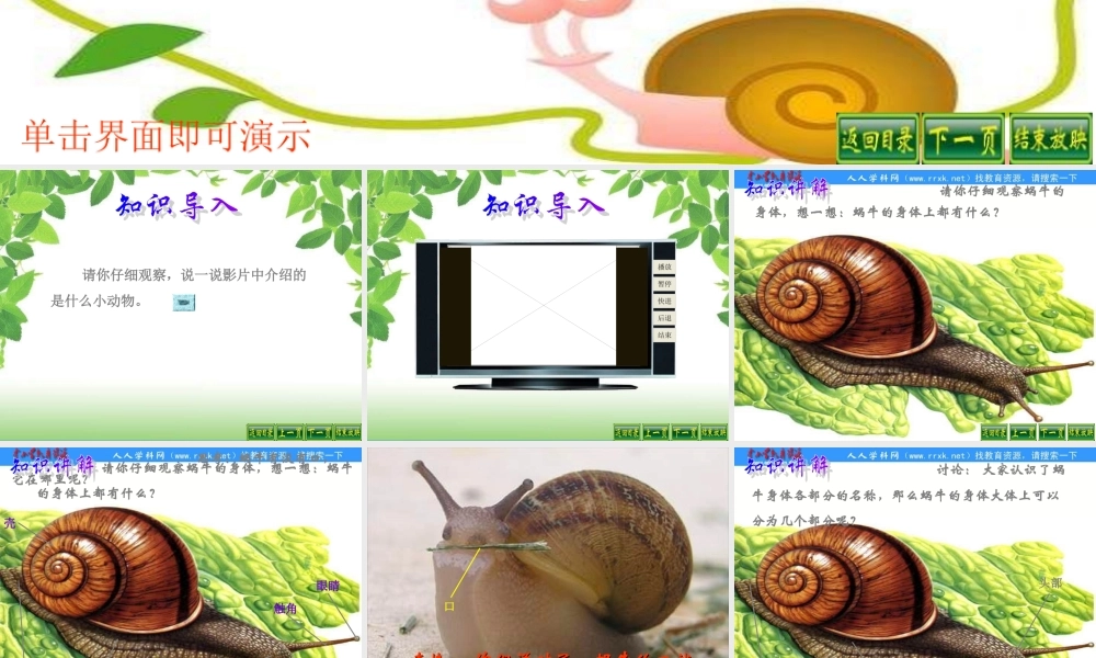 教科小学科学三上《2.3、蜗牛（1）》PPT课件(3)【加微信公众号 jiaoxuewuyou 九折优惠 qq 1119139686】.ppt
