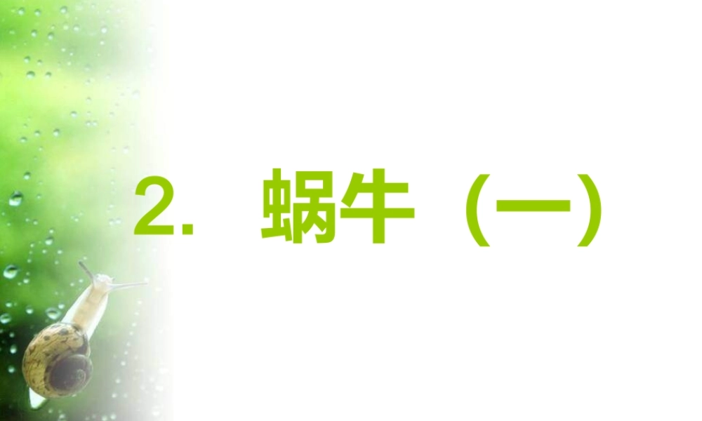 教科小学科学三上《2.2、蜗牛（一）》PPT课件(7)【加微信公众号 jiaoxuewuyou 九折优惠 qq 1119139686】.ppt